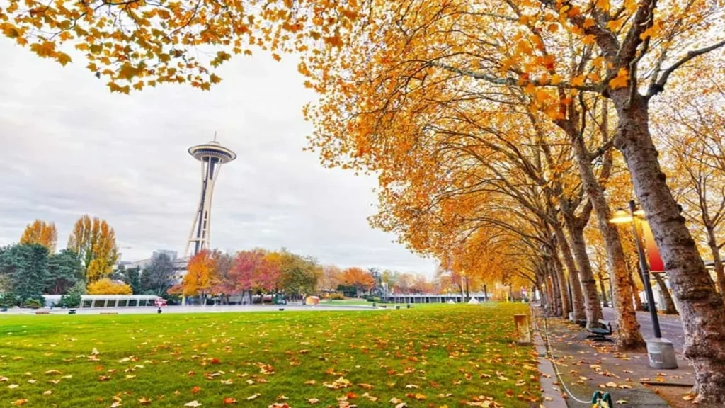 Seattle’s Weather and Best Time to Visit Seattle’s Weather and Best Time to Visit